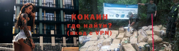 мяу мяу мука Аркадак