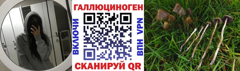 закладки  KRAKEN ссылки  Галлюциногенные грибы мицелий  Карабулак 