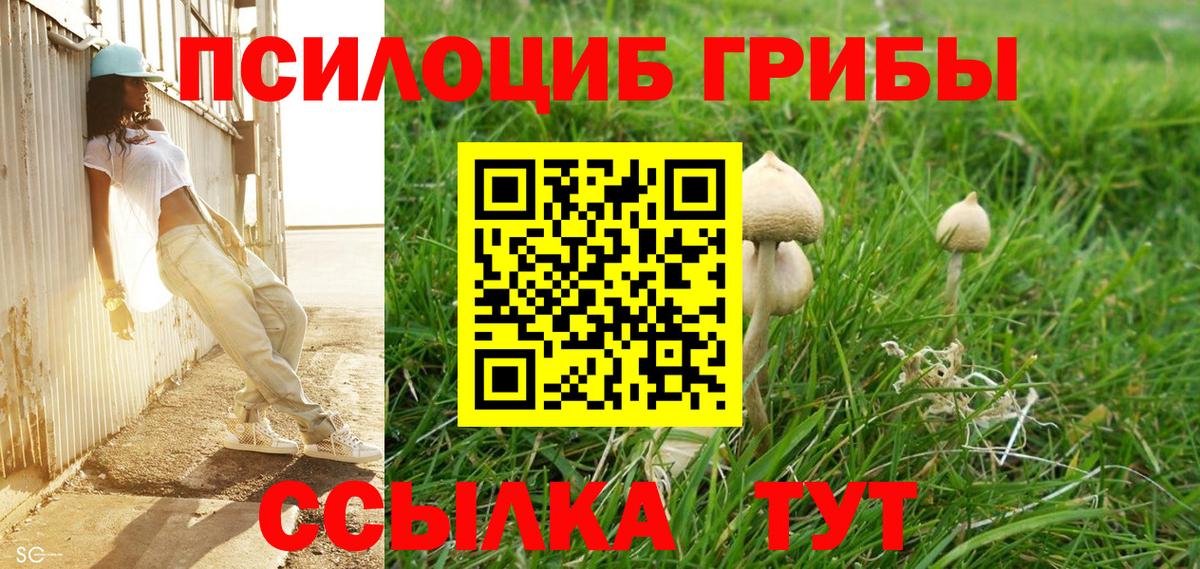 A PVP СК кристаллы  Вход с VPN  Меф МЯУ МЯУ кристаллы  ГАШИШ  Карабулак  Мефедрон  АМФ кристаллы  ГАШ  Кокаин  NBOMe  Бошки Шишки  Конопля 