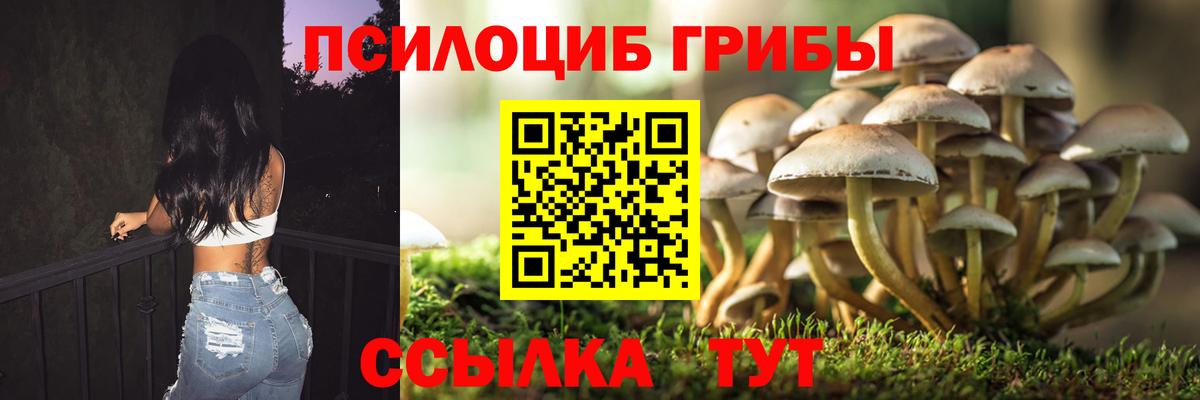 Псилоцибиновые грибы GOLDEN TEACHER Карабулак