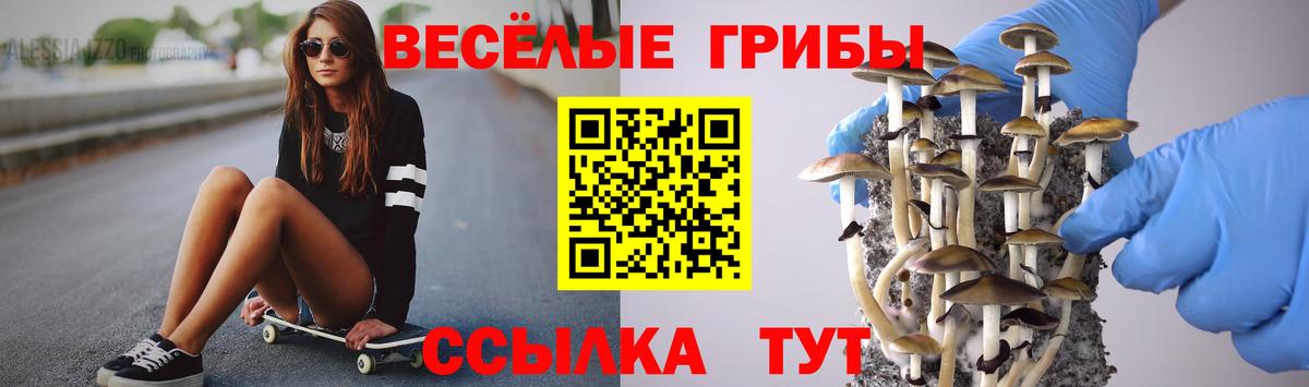 Псилоцибиновые грибы Psilocybine cubensis  Вход с VPN  Псилоцибиновые грибы GOLDEN TEACHER  купить наркоту  Карабулак 