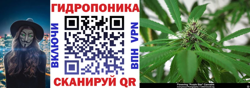 МАРИХУАНА SATIVA & INDICA  Карабулак 